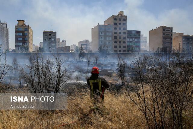 کاریکاتورهایی که آب روی آتش جنگل ها ریختند