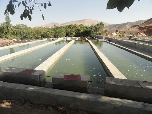 حسگری که کیفیت آب استخر را کنترل می کند