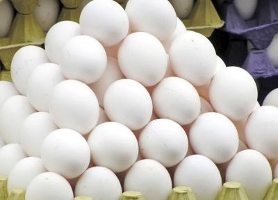 خبرنگاران گرانفروشان تخم مرغ در استان همدان مجازات می شوند