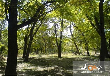 طبیعت زیبای دره قاهان قم تصاویر طبیعت زیبای دره قاهان قم