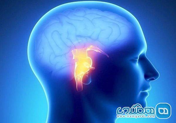 سلول های هدف در بیماری آلزایمر باعث آشفتگی در خواب فرد می سلول های هدف در بیماری آلزایمر باعث آشفتگی در خواب فرد می شوند