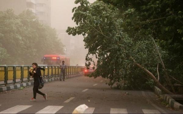 هواشناسی 27 فروردین 1401، هشدار وزش باد به کشاورزان و دامداران