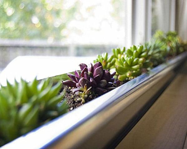 چند ایده ناب برای دیزاین گیاهان! چند ایده ناب برای دیزاین گیاهان!